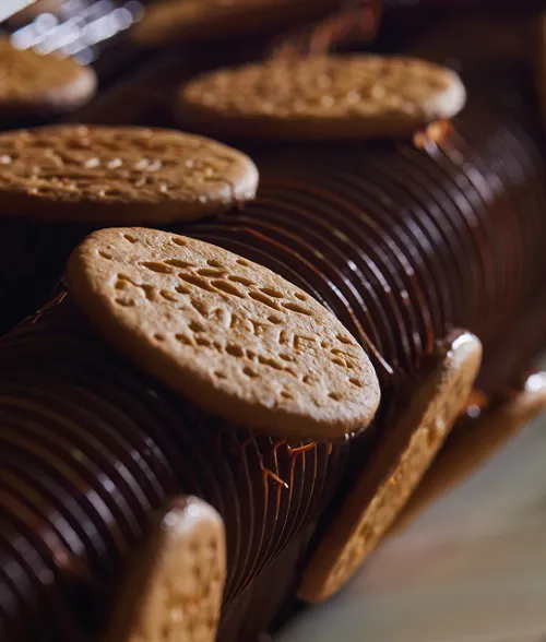 Chocolate Digestives on production line
